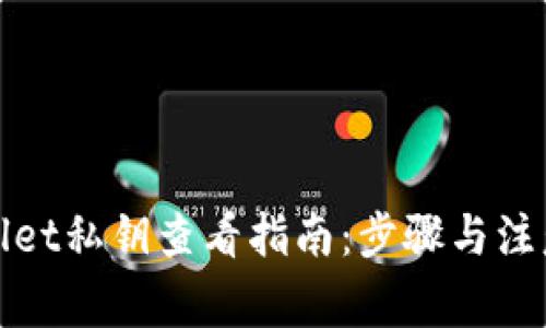 tpWallet私钥查看指南：步骤与注意事项