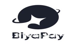 思考一个的tpWallet USDT互转