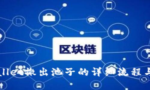 tpWallet撤出池子的详细流程与指南