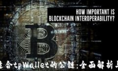 选择适合tpWallet的公链：全面解析与建议