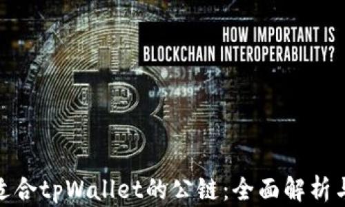 
选择适合tpWallet的公链：全面解析与建议