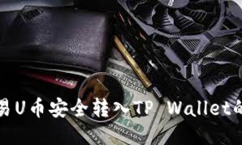如何将欧易U币安全转入TP Wallet的详细指南