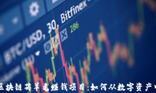 
顶级区块链薅羊毛赚钱项目：如何从数字资产中获利