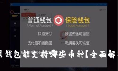 tpWallet底层钱包能支持哪些币种？全面解析与使用指南