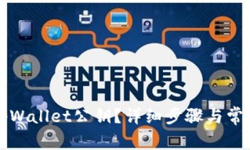 如何导出tpWallet公钥？详细步骤与常见问题解析