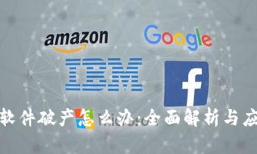 冷钱包软件破产怎么办：全面解析与应对策略