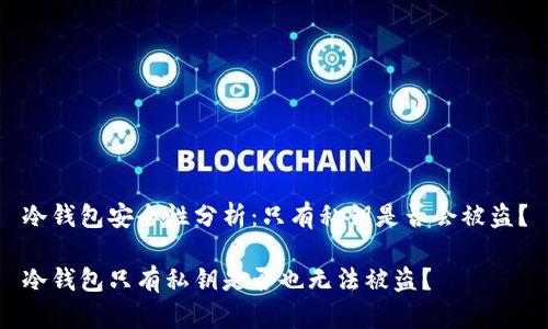 冷钱包安全性分析：只有私钥是否会被盗？

冷钱包只有私钥是否也无法被盗？