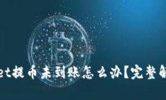 tpWallet提币未到账怎么办？