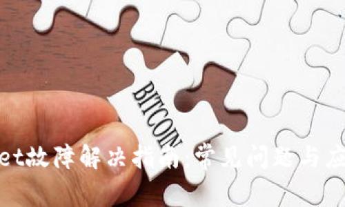 tpWallet故障解决指南：常见问题与应对措施