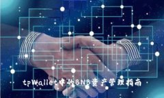 tpWallet中的BNB资产管理指南