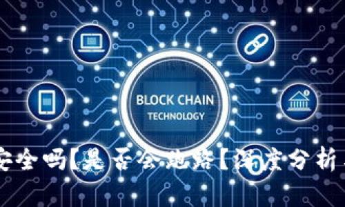 tpWallet安全吗？是否会跑路？深度分析与未来展望