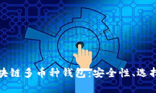全面解析区块链多币种钱包：安全性、选择与使用指南