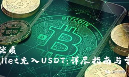 思考一个的优质  
如何向tpWallet充入USDT：详尽指南与常见问题解答