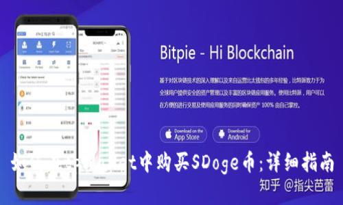 如何在tpWallet中购买SDoge币：详细指南