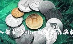 深入解析：Bying钱包的诈骗