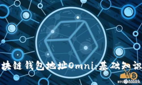 全面解析区块链钱包地址Omni：基础知识与应用场景