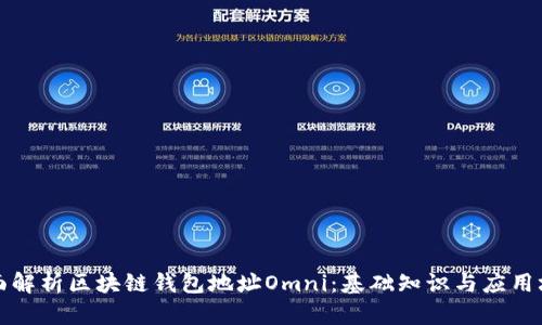 全面解析区块链钱包地址Omni：基础知识与应用场景