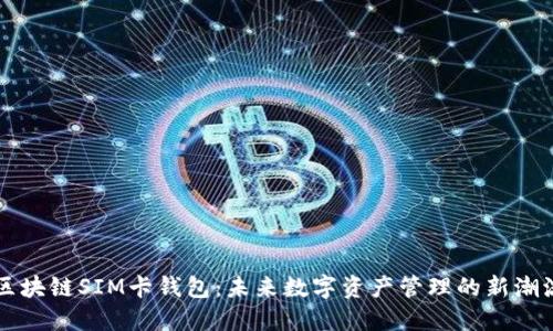 区块链SIM卡钱包：未来数字资产管理的新潮流