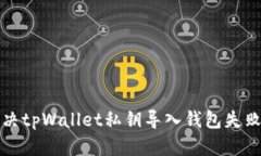 如何解决tpWallet私钥导入钱