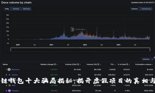 区块链钱包十大骗局揭秘：揭开虚假项目的真相与防范