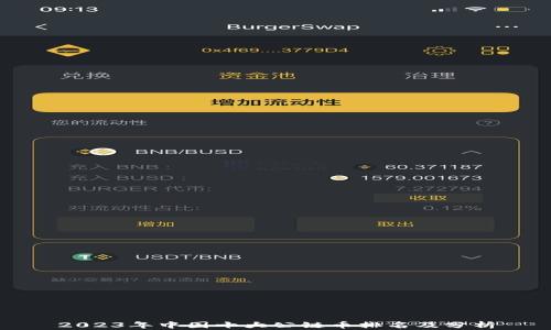 
2023年中国十大公链币排名及分析