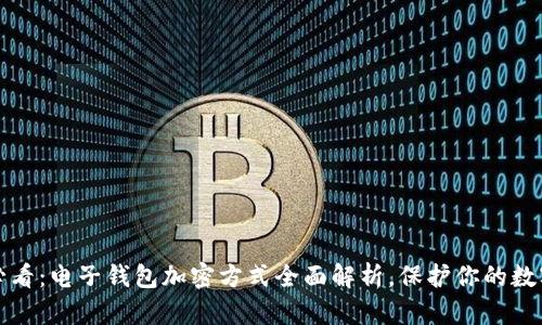 2025必看：电子钱包加密方式全面解析，保护你的数字资产！