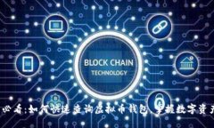 2025必看：如何快速查询虚