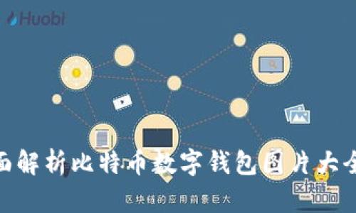 2025必看：全面解析比特币数字钱包图片大全及其使用指南