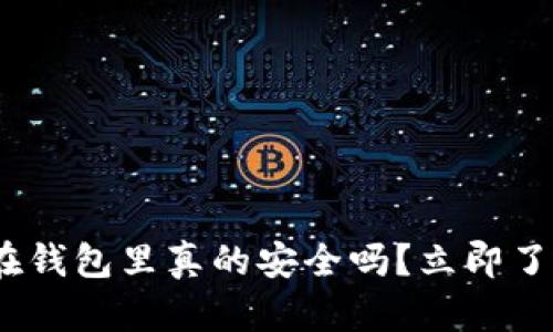 2025必看：虚拟币放在钱包里真的安全吗？立即了解你的投资保护策略！