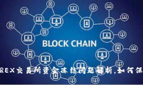 2025必看：TREX交易所资金冻结问题解析，如何保护你的资产？