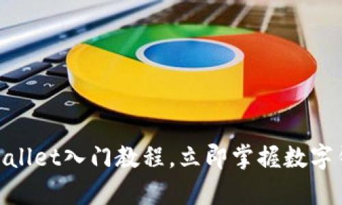 2025必看：tpWallet入门教程，立即掌握数字钱包的使用技巧