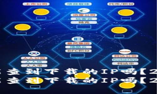 区块链钱包能查到下载的IP吗？2025必看详解
区块链钱包能查到下载的IP吗？2025必看详解