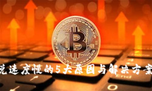 2023年tpWallet闪兑速度慢的5大原因与解决方案，立即你的交易体验！