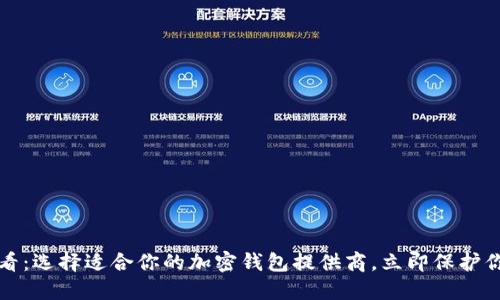 2025必看：选择适合你的加密钱包提供商，立即保护你的资产！