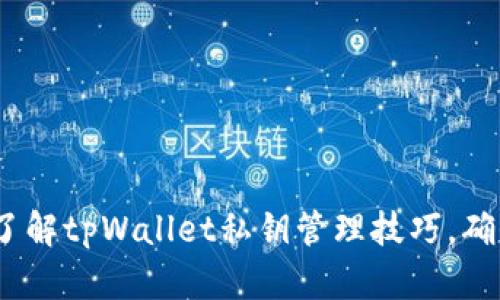2025必看：全面了解tpWallet私钥管理技巧，确保您的资产安全！