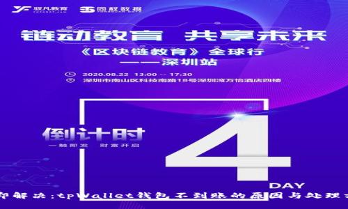 立即解决：tpWallet钱包不到账的原因与处理方法