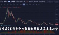 立即查看！莱特币今日价