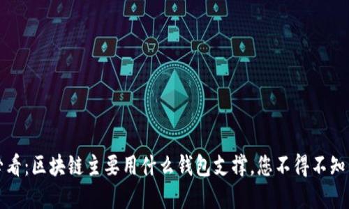 2025必看：区块链主要用什么钱包支撑，您不得不知的选择！