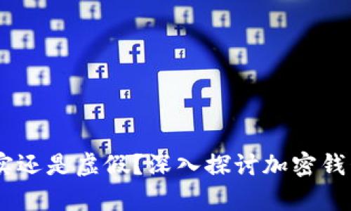 加密货币钱包：真实还是虚假？深入探讨加密钱包的安全性与选择