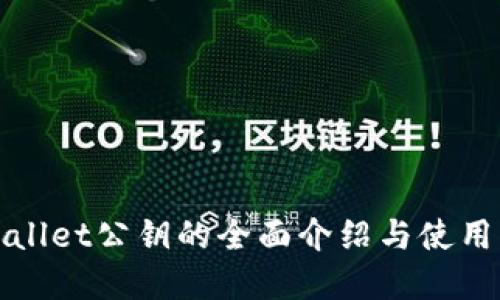 tpWallet公钥的全面介绍与使用指南