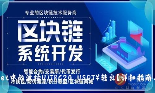 如何将TP Wallet中的波场U（TRC20 USDT）转出？详细指南与常见问题解答