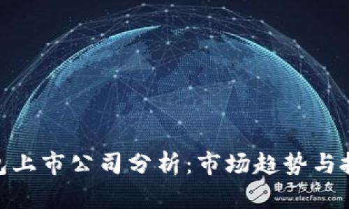 加密钱包上市公司分析：市场趋势与投资机会