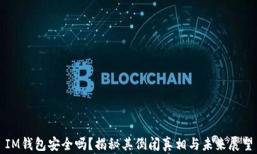
IM钱包安全吗？揭秘其倒闭真相与未来展望