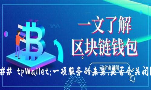 ## tpWallet：一项服务的未来，是否会关闭？