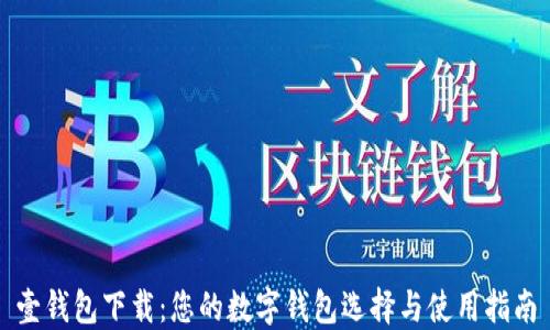 
壹钱包下载：您的数字钱包选择与使用指南