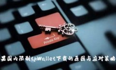 : 苹果国内限制tpWallet下载