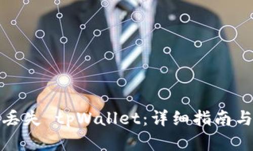 如何应对丢失 tpWallet：详细指南与解决方案