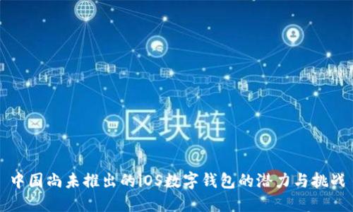 中国尚未推出的iOS数字钱包的潜力与挑战