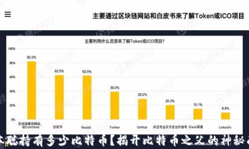 
中本聪持有多少比特币？揭开比特币之父的神秘面纱