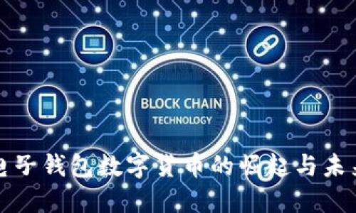 杭州电子钱包数字货币的崛起与未来发展